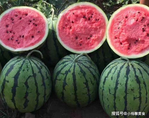 免费吃瓜官网免费